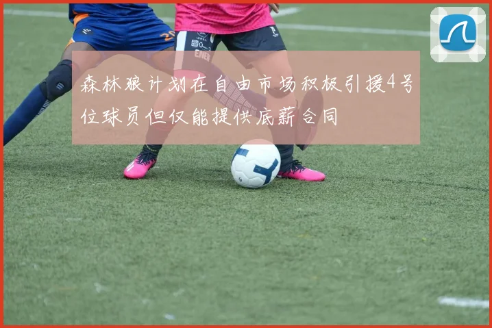 森林狼计划在自由市场积极引援4号位球员但仅能提供底薪合同