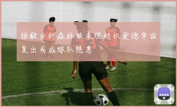 杨毅分析森林狼表现起伏爱德华兹复出或成球队隐患